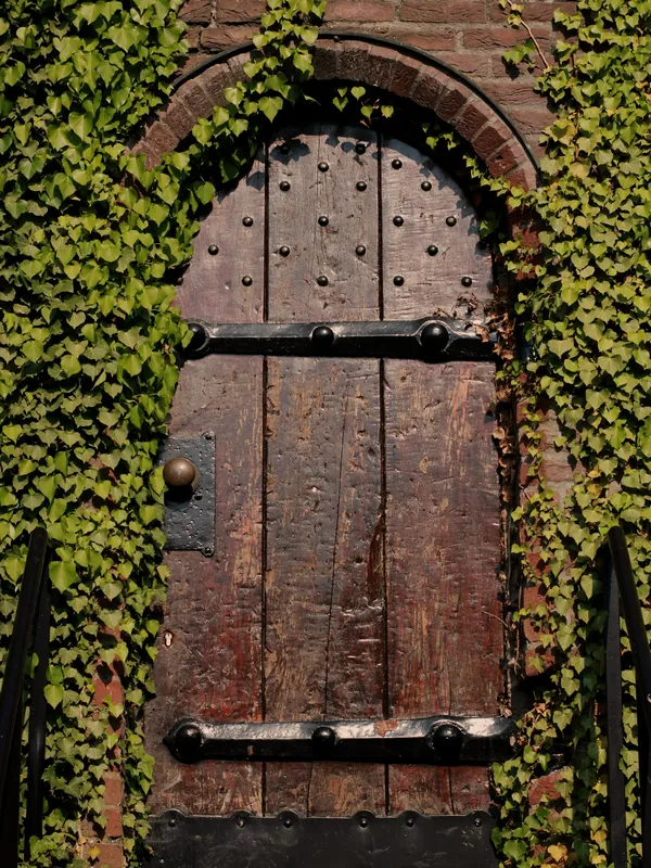 Style reference photo: Mediterranean front doors